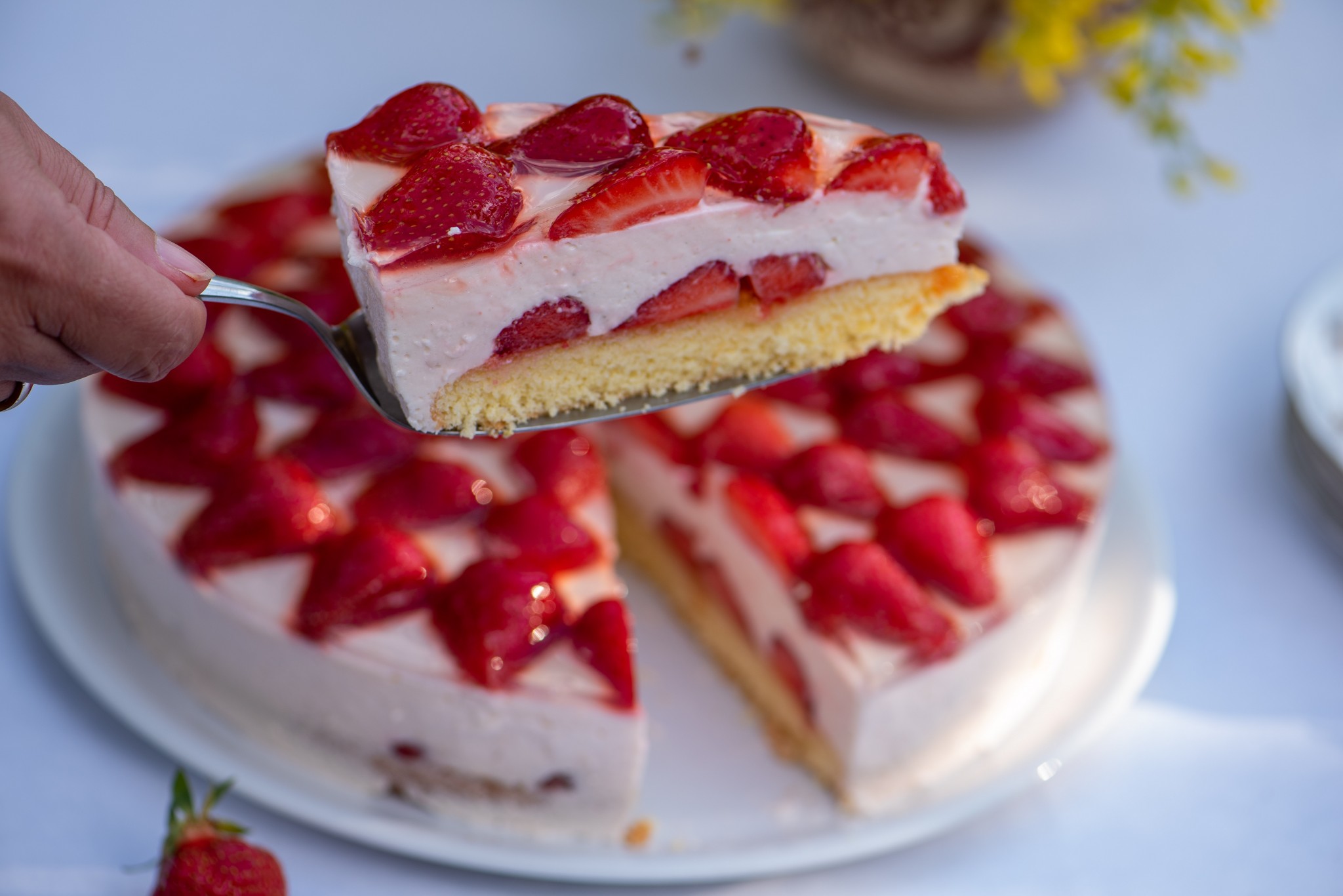 Joghurttorte mit Erdbeeren | Küchenfreundin Isi