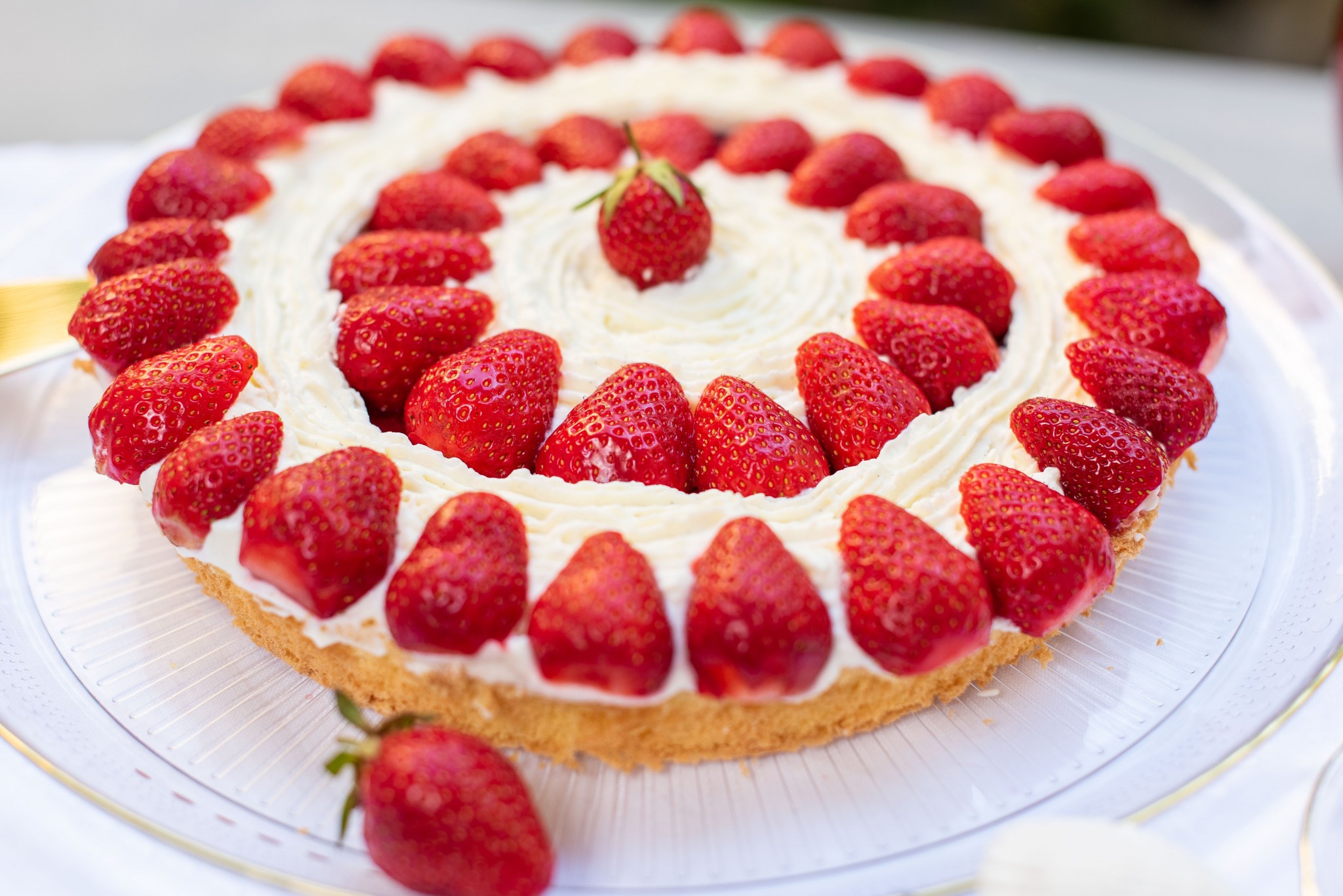 Schneller Erdbeer-Cheesecake | Küchenfreundin Isi