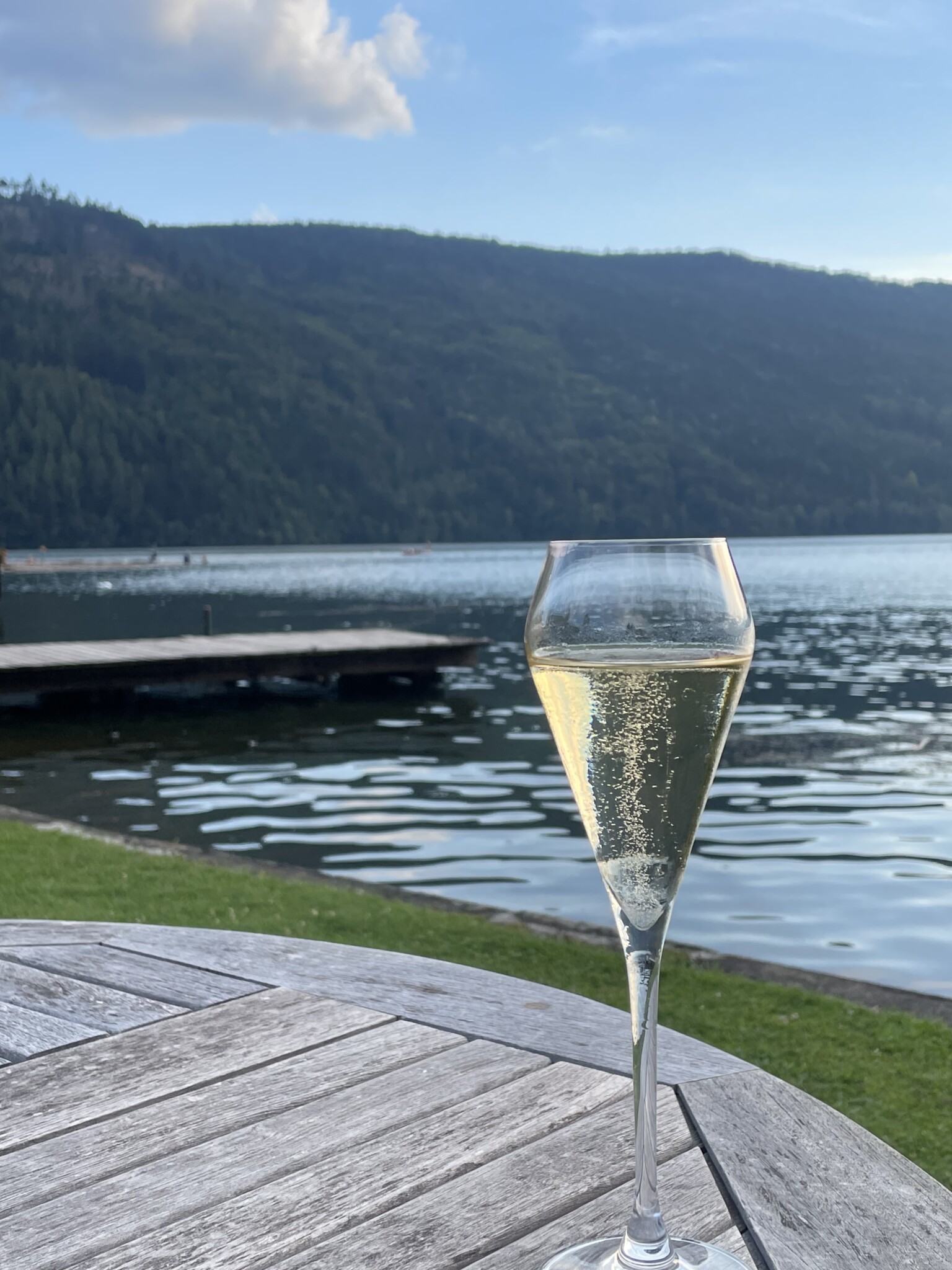 Millstättersee Blick auf den Strand Hote Seefischer